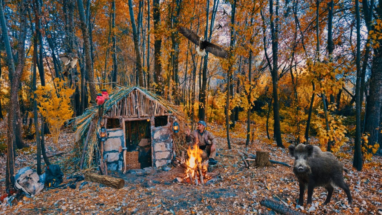 BUSHCRAFT CAMPING ; Building SURVIVAL Shelter _ solo survival camp ...