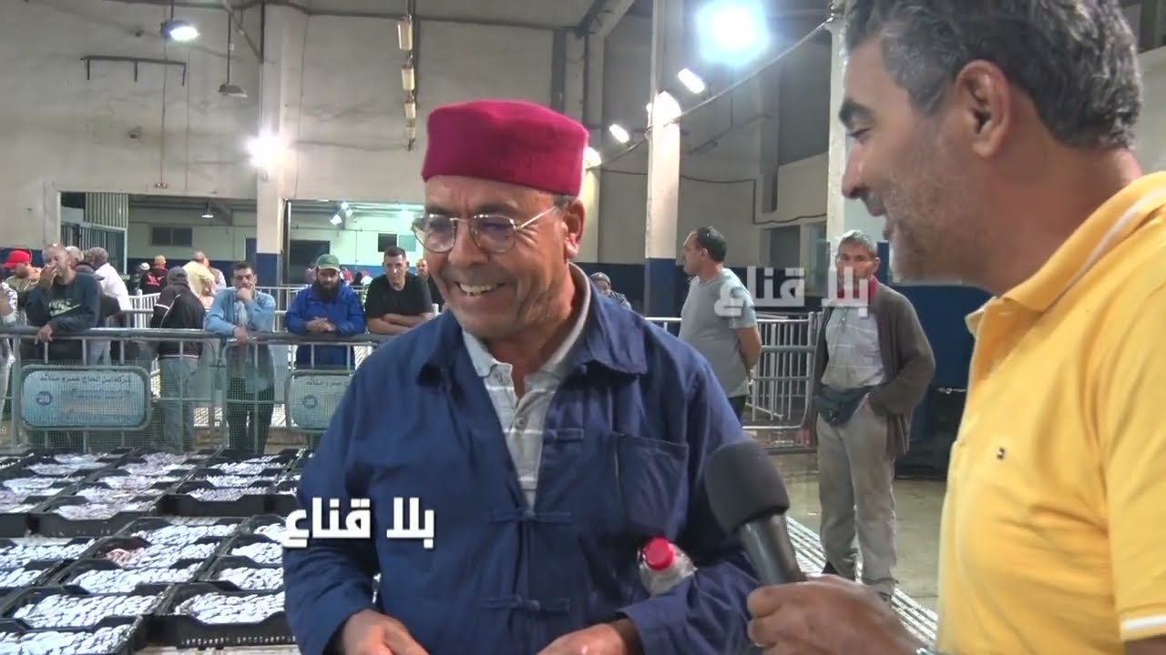 شبعة حوت بثلاثة ألاف وخيرات والأسعار بين ثلاثة دينارات وعشرين دينار...البحر طياب وربي مع الزوالى