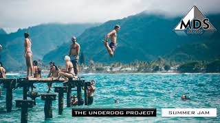 The Underdog Project - Summer Jam 2003 (DJ F.R.A.N.K.'s Summermix) Resimi