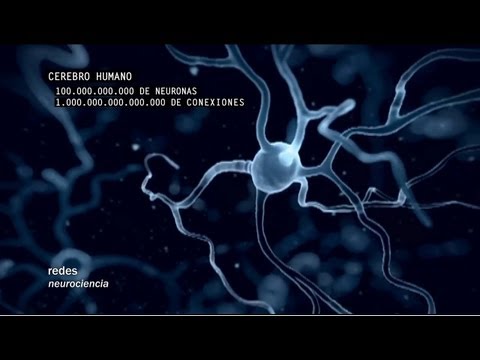 Redes 160: Cómo se conectan las neuronas - neurociencia