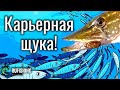 Карьерная щука