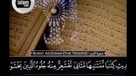 تلاوة من سورة الزمر بصوت القارئ محمد النقيب