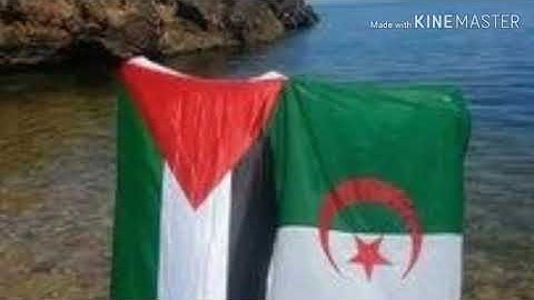 سورة الاسراء الاخ جمال الدين تراويح 1440@2019