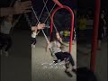 مشيني حدك مشيني فضل شاكر احلا صورة Anime Music اكسبلور مشيني حدك مشيني فضل شاكر احلا صورة Anime Music اكسبلور