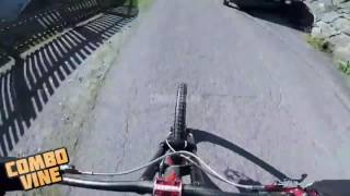 Combo Vine #81