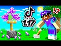 Je teste des HACKS TikTok 1.17 secrets sur Minecraft !