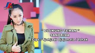 Sanderina New Song