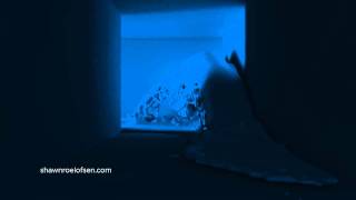 Realflow Room Flood