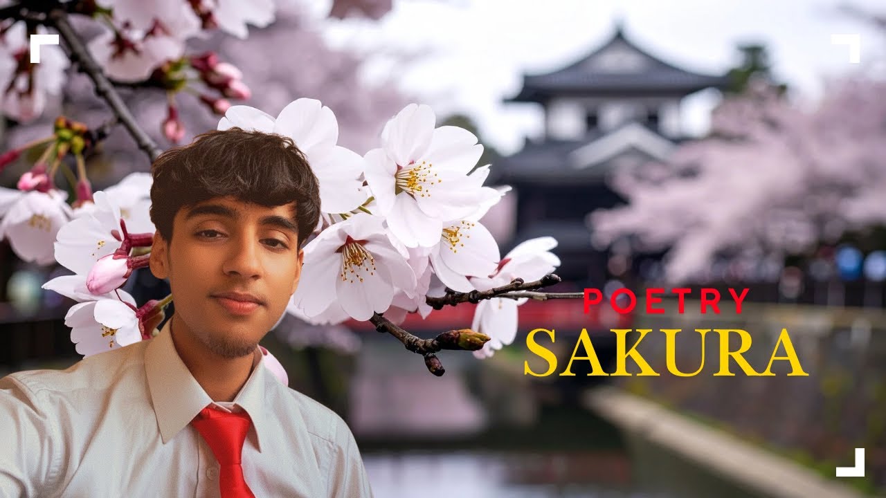 Sakura more than poetry 🌸 suman org || 