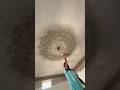 BIG-FLOWER CEILING DESIGN ART 👀😳 wait for End ! #shorts #art #ytshorts #viralshort (Sanjay Art)