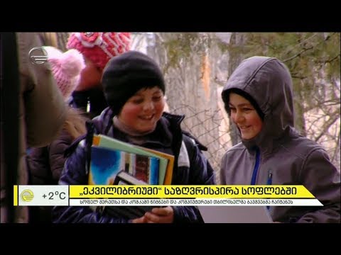 \"ეკვილიბრიუმი\" საზღვრისპირა სოფლებში