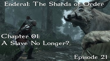 Enderal: The Shards of Order Chapter 1- Slaves No Longer? (Part 21)