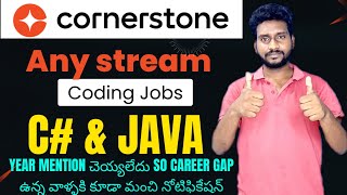 CornerStone Hiring For Software Engineer - Intern | Any Graduate Can Apply | Apply Now