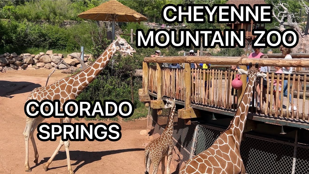 COLORADO SPRINGS | CHEYENNE MOUNTAIN ZOO | 4K | WALK TOUR | 