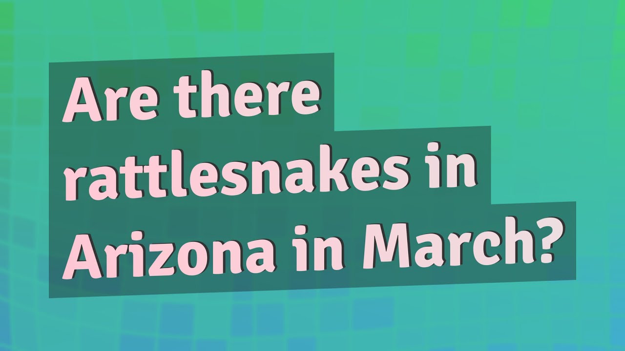 Are There Rattlesnakes In Arizona In March YouTube Are There Rattlesnakes In Arizona In March YouTube