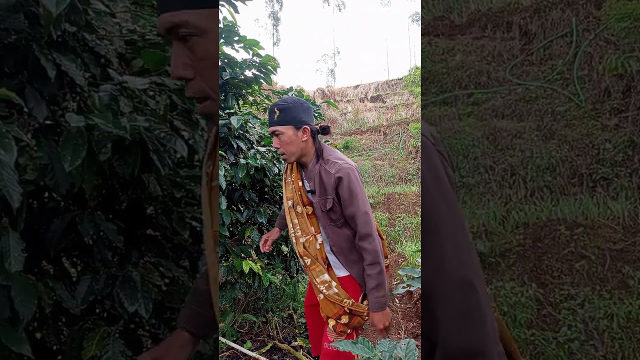 Si haji di tingalken Kanu di gawe