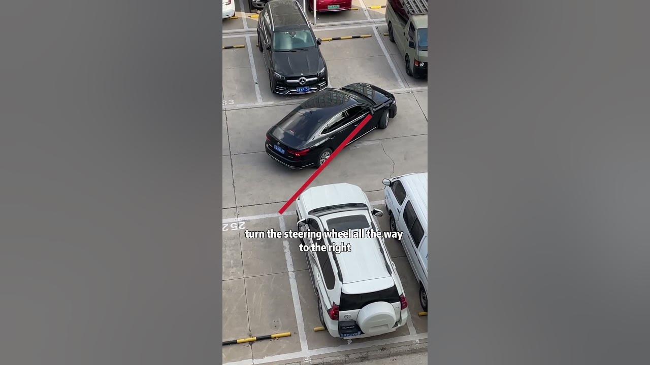 My followers must know how to reverse into a parking space!#car #