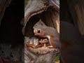 10 продуктов для здоровья и долголетия. Грецкие орехи.