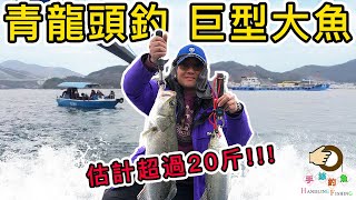 #182 青龍頭釣鱸魚,遇上巨物,估計超過20斤 |『香港釣魚 : 艇釣』青龍頭 | 【Insta360 ONE X2 R 限時優惠】