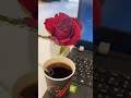 “A rose and a cup of black tea — simple moments, pure peace.” 🌹☕#youtubeshorts #shortsfeed #youtube