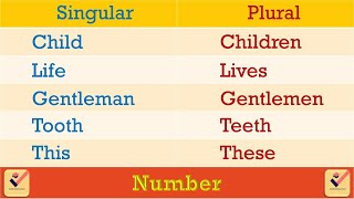 Singular - Plural : 215+ Important Words | Number | Vocabulary | Nouns | Pronouns | English Grammar