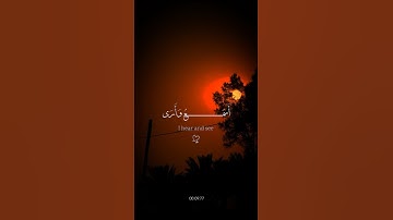 اكتب شيء تؤجر عليه 🤍🌷القارئ محمد ديبيروف 🤍 #quran #كرومات_قرآن #شاشه_سوداء #ارح_قلبك 🥺