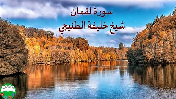 سورة لقمان شيخ خليفة الطنيجي
