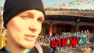 МКЖ - Тибетский храм, г.Xining