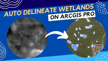 Auto Delineate Wetlands