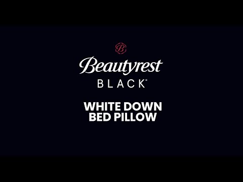 Beautyrest Black White Down Bed Pillow 21BR612 v2 0