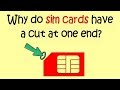 Most Brilliant IAS Interview Questions with Answers | Why do sim cards have a cut at one end?