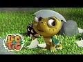 Leo & Tig 🐯🦁  Pais adotivos - episódio completo  | Desenho infantil