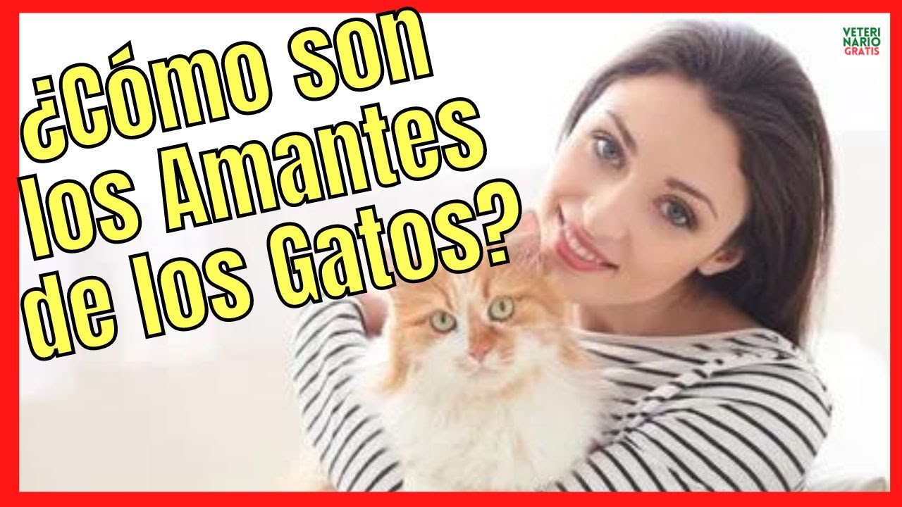 💘 ¿CÓMO SON LAS PERSONAS QUE LES GUSTAN A LOS GATOS? 💘 Y QUE LES ATRAEN