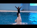 Yokohama Hakkeijima Sea Paradise Animal Show - Smile Version 2 - 【4K】