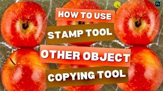 Stamp Tool And Other Object Copying Tool In Adobe Photoshop | Tutorial | Part 1