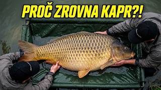 Kapr: proč ho celý svět nesnáší, ale Češi se ho nevzdají