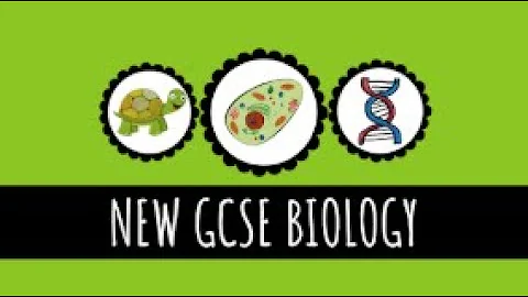 Preventing Infections - Ignaz Semmelweis and Ways of Preventing Disease - 9-1 GCSE Biology