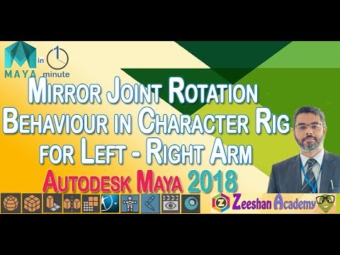 3d animation internships Maya Tips in Minute 24- Mirror Joint Rotation Behaviour using Expressions of character rig