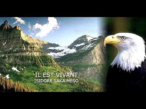 Isidore Saka Meso dans "IL EST VIVANT"