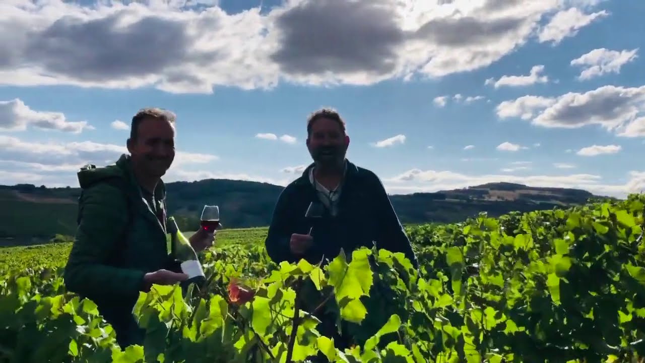 Bottle Talk | Domaine Regnaudot