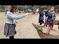 Feeding Deer in Nara, Japan | Evan Edinger Travel