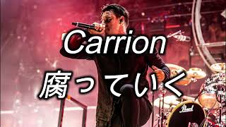 [和訳] [喪失]Parkway Drive - Carrion