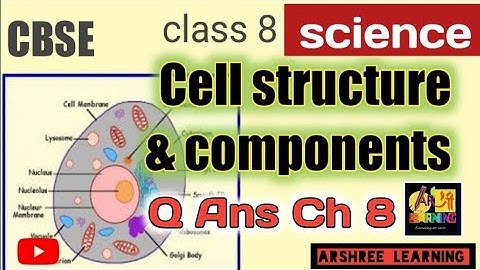 Cell- Structure Function Q Ans  ( part 5) cbse  Class 8