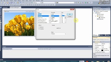 002   خصائص الفورم vb net