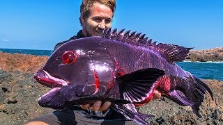 WEIRDEST Ocean Catches