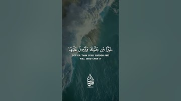 القارئ: طارق محمد 🍃  أرح سمعك 🥀#اكسبلور #لايك #راحة_نفسية