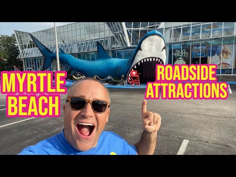 Shark Roadside Attraction