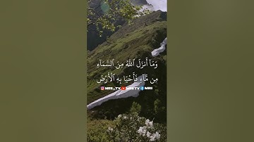 ماهر المعيقلي - سورة البقرة ( برواية حفص عن عاصم ) الأية 164