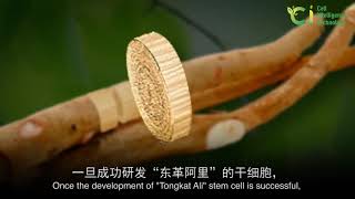 CIC introduction potentials video