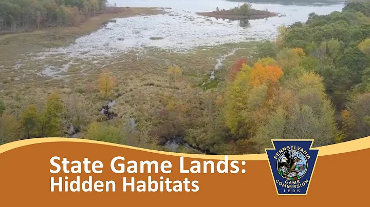 Pennsylvania State Game Lands - Hidden Habitats